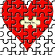 An Undivided Heart