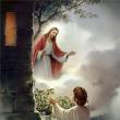Deliver us from Evil